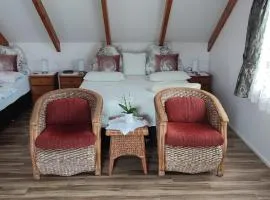Luxurious studio room