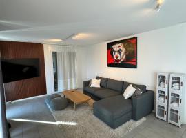 Great apartment in Lausanne, hotel a Lausana