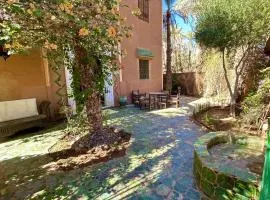 Dar Nakhla - Guest House In Zagora - Restaurant & Desert Excursions