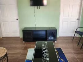 vieux fort town apartment