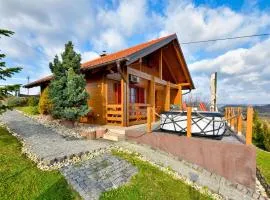 Stunning Home In Paruzevina With Wifi
