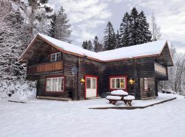 Luxurious Log House - Gränsfors 354, hotel v destinaci Bergsjö