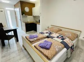 HENRY APARTMENT - Nesvady - Slovakia