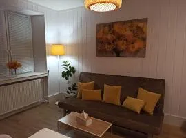 Słoneczny apartament z prywatną sauną w Stroniu Śląskim