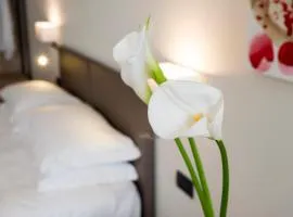 Hotel Plaza