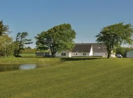 Gorgeous Home In Skjern