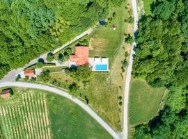 Beautiful Home In Bedenica With Sauna