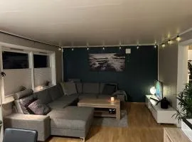 Nydelige Tromsdalen - rom i enebolig