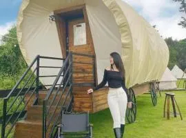 VietGangz TaNoYa Glamping