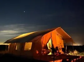 Simple Camp carpa Árboles、San Pedroのグランピング施設