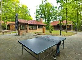 Amazing Home In Gustelnica With Sauna