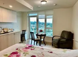 New condo near Lougheed Mall & SFU