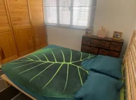 Habitación Privada en La Colonia Roma