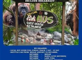 Pak Mus Guest House Ketambe - 0813-7072-1793