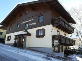 Appartements Auernigg