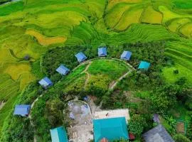 Blue home