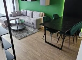 Cozy stay near Ialomita River