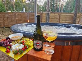 Domek Pod Grzybkiem, hotel in Dźwierszno Małe