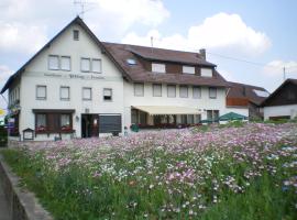 Gasthaus Pflug, Hotel in Aichhalden