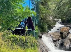 Wetlands Wayanad Pool Resort with Natural Waterfalls