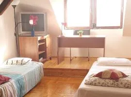 Hakuna Matata - Room in Budapest - Near Buda Castle, Parliament and Margaret Island