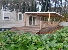 Chalet near Antwerp with Pool Access
