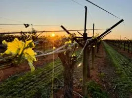 BIG4 Red Cliffs Caravan Park