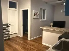 1 BR Apartment near Reno Airport