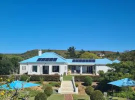 The Blue Crane