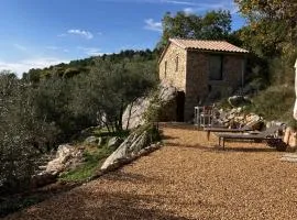 Remote cottage with valley views