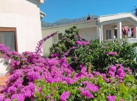 Mavi, хотел, който приема домашни любимци, в Бар