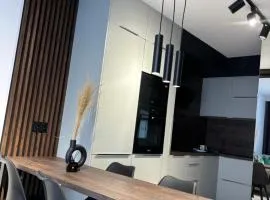Business and Friendly Apartments Rzeszów self check-in