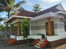 Punerjeni Homes