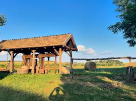 Buzál-Mórocza Pincészet és Szálláshely, hotel v destinaci Etyek