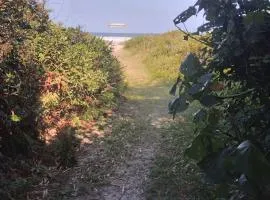 Casa em Ilha do Mel na Praia Grande Nova Brasília