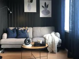 Cozy apartment