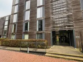Stringfellow Hall