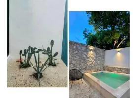 Modern Casa with Pool 7 mins from Centro 5min La Plancha Park