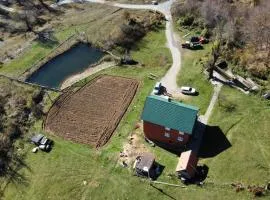 Rural Household Baltic