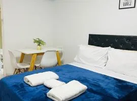 Studio Apart 410