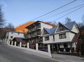 Casa Albiony Dâmbovicioara, hotel v destinaci Dîmbovicioara