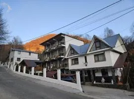 Casa Albiony Dâmbovicioara
