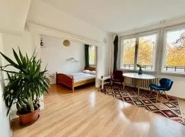 Frankel Apartman Near Lukács Bath