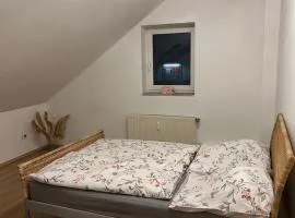Gemütliches Dachapartement