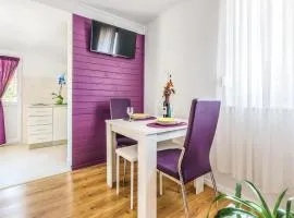 One-Bedroom Apartment In Ostrvica