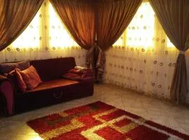 Spacious 3 bedroom Nile Apartment