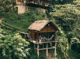 Paraiso Ahimsa