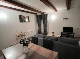 Spacieux Logement Grandvillars