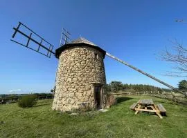 Moulin à vent restauré avec vue sur la campagne - FR-1-582-221