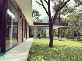 Sapavilion